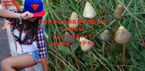 мяу мяу кристалл Липки