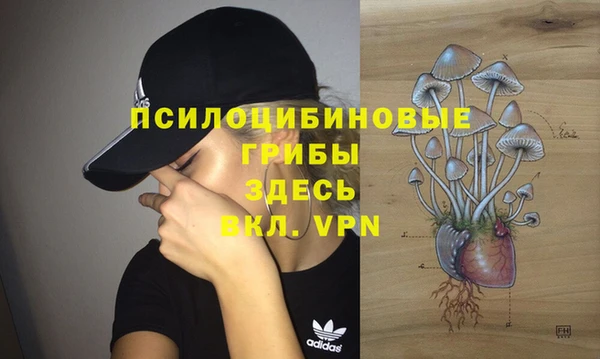 spice Лиски